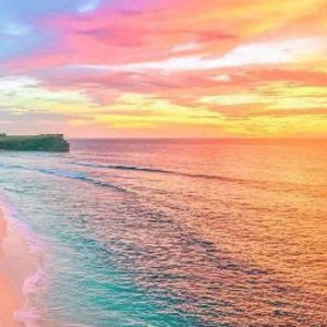 Meet your Posher, Lily